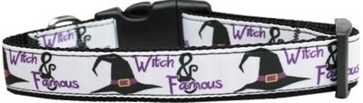 Witch and Famous Nylon Dog Collar