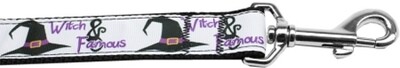 Witch and Famous Nylon Dog Leash