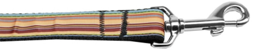 Autumn Stripes Nylon Dog Leash