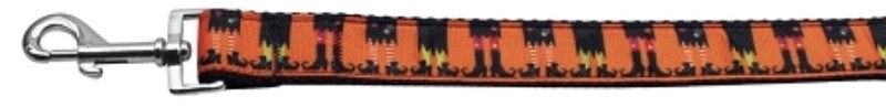 Witches Brew Nylon Ribbon Leash