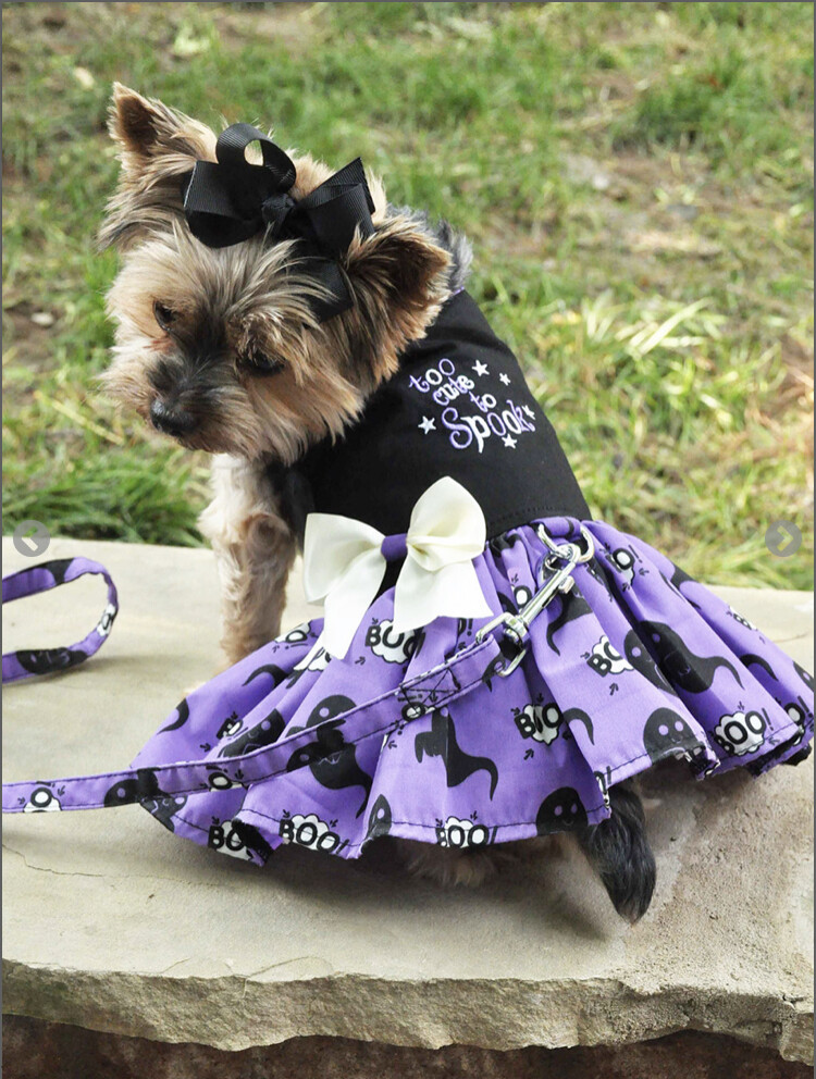 Halloween Girls Harness Dress - Too Cute To Spook