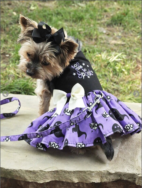 Halloween Girls Harness Dress - Too Cute To Spook