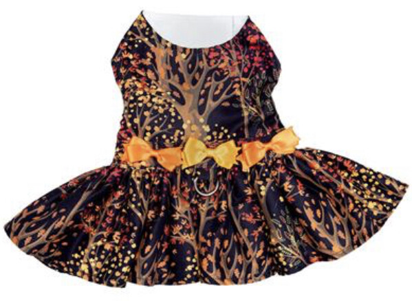 Fall Leaves Harness Dress With Matching Leash