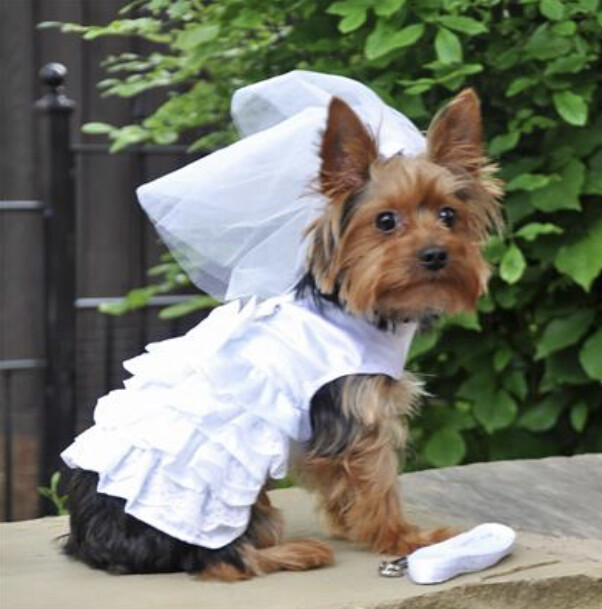 White Satin Wedding Dress, Headpiece, Leash &amp; D-Ring