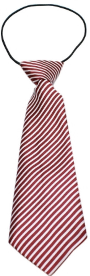 Big Dog Neck Tie Candy Cane Stripes