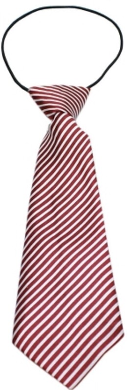 Big Dog Neck Tie Candy Cane Stripes
