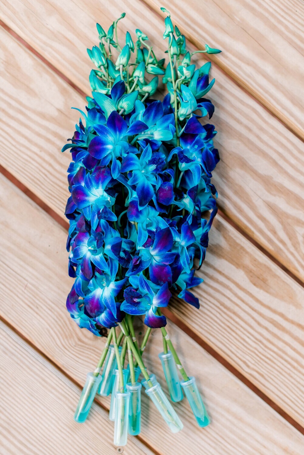 Blue Bomb Orchid Bunches