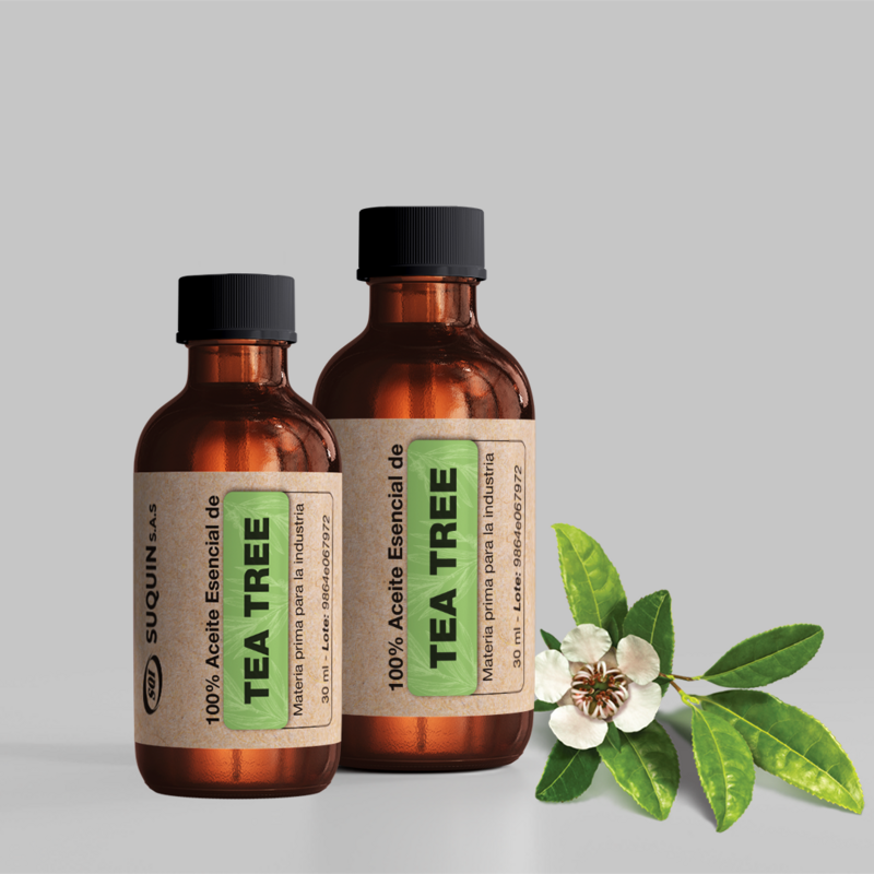 Aceite Esencial de Tea Tree (Árbol de Té)