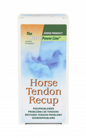 Horse Tenton Recup
