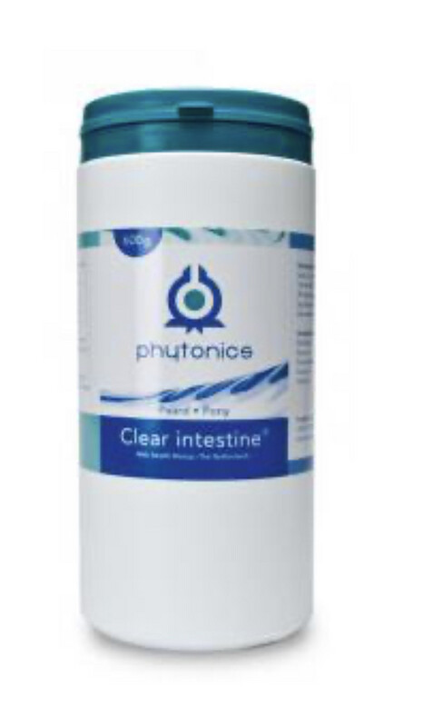 Phytonics Clean Intestine 600g