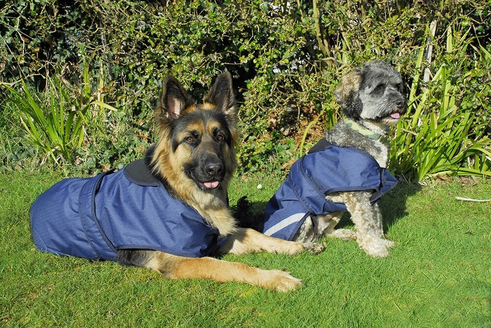 Are German Shepherds Waterproof