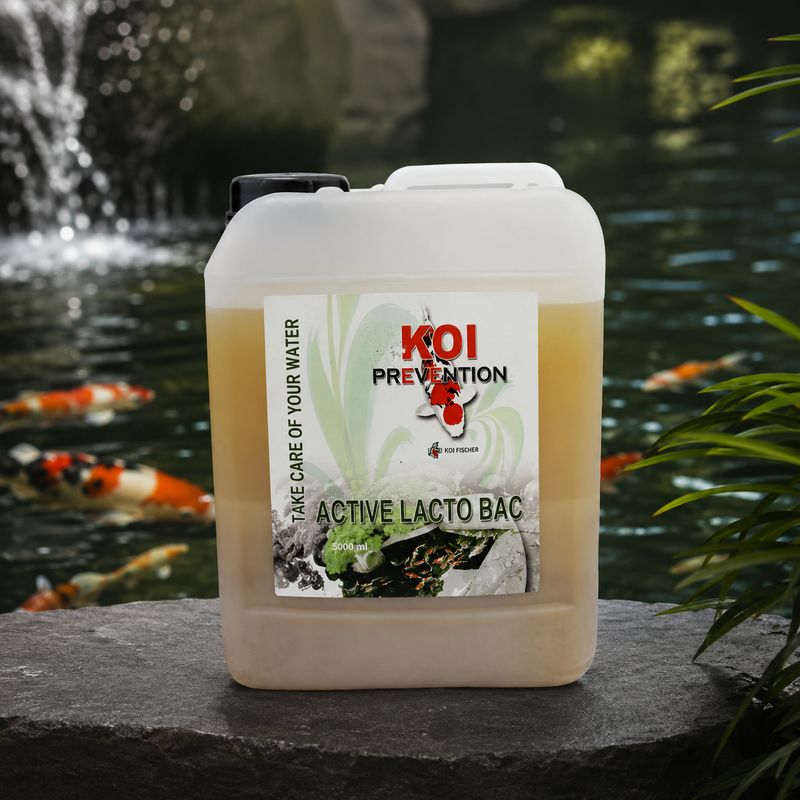Fish Pharma Lacto Bac, Enzyme, Milchsäurebakterien, 5,0 L, Koi Fish Pharma Lacto Bac, Enzyme, Milchsäurebakterien, 5,0 L, Koi
