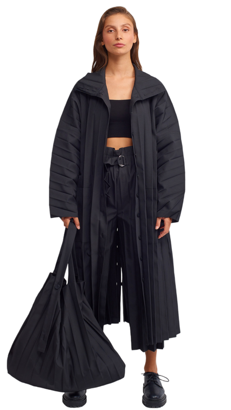Pleated Pants