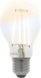 TUYA Smart LED Lamp Filament Peer A60 CCT (2700K - 6500K) E27 7W App | Tuya