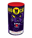 Big Cat