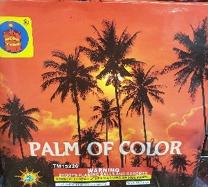 Palm of Color