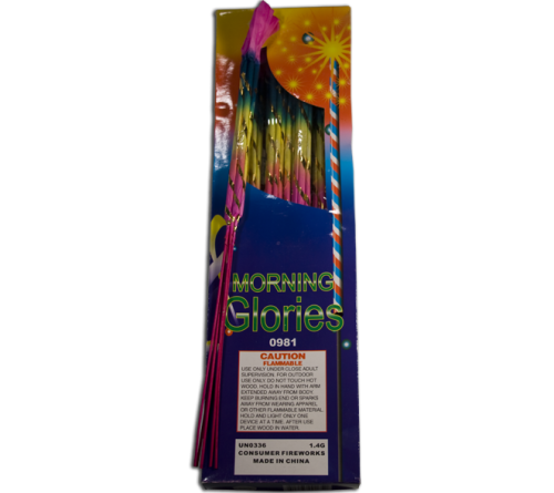 Morning Glory Box (144 pieces)
