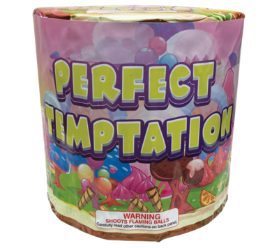 PERFECT TEMPTATION