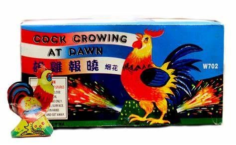 Cock Crowing At Dawn (BOX)