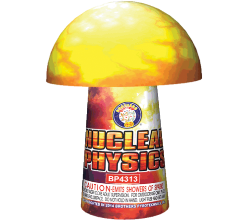 Nuclear Physics