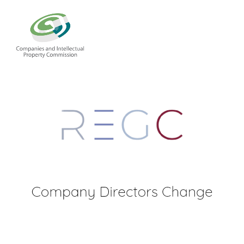 Company Director Change