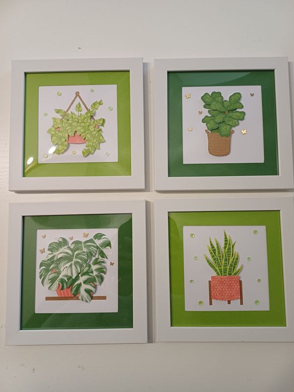 4 cadres plantes