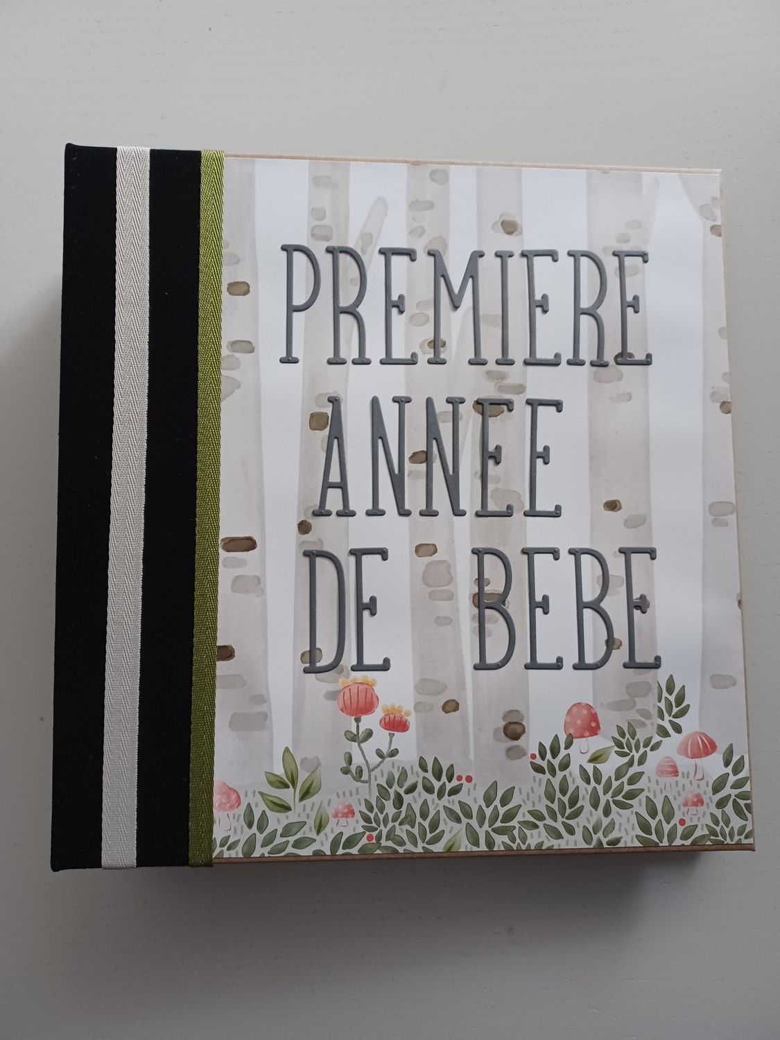 Mini album naissance première année de bébé