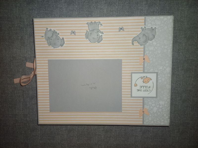 Mini album naissance éléphant