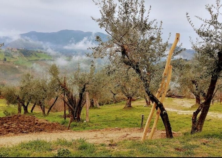 Assaggio gratuito