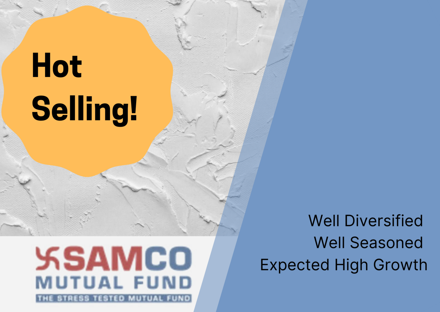 FLEXI CAP FUND