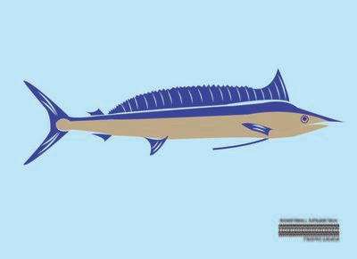 Shortbill Spearfish Flag