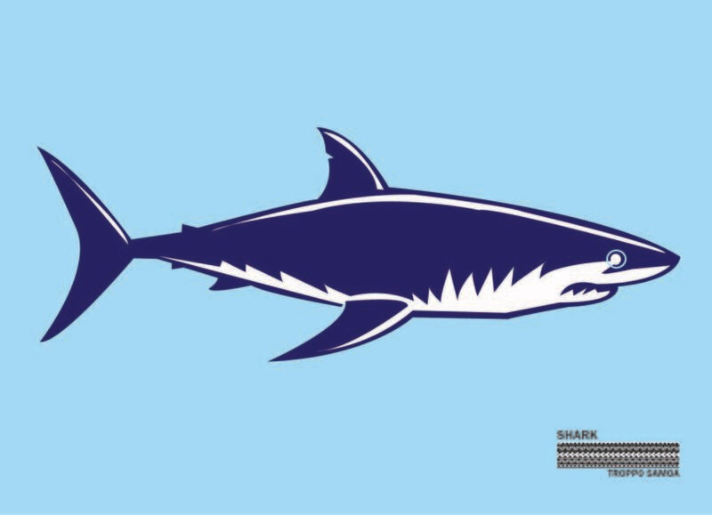 Shark Flag