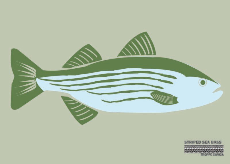 Striped Sea Bass Flag