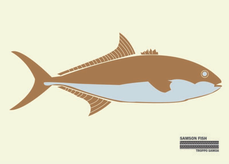 Samson Flag