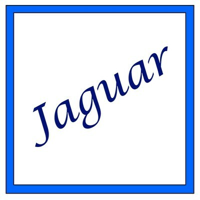 Jaguar