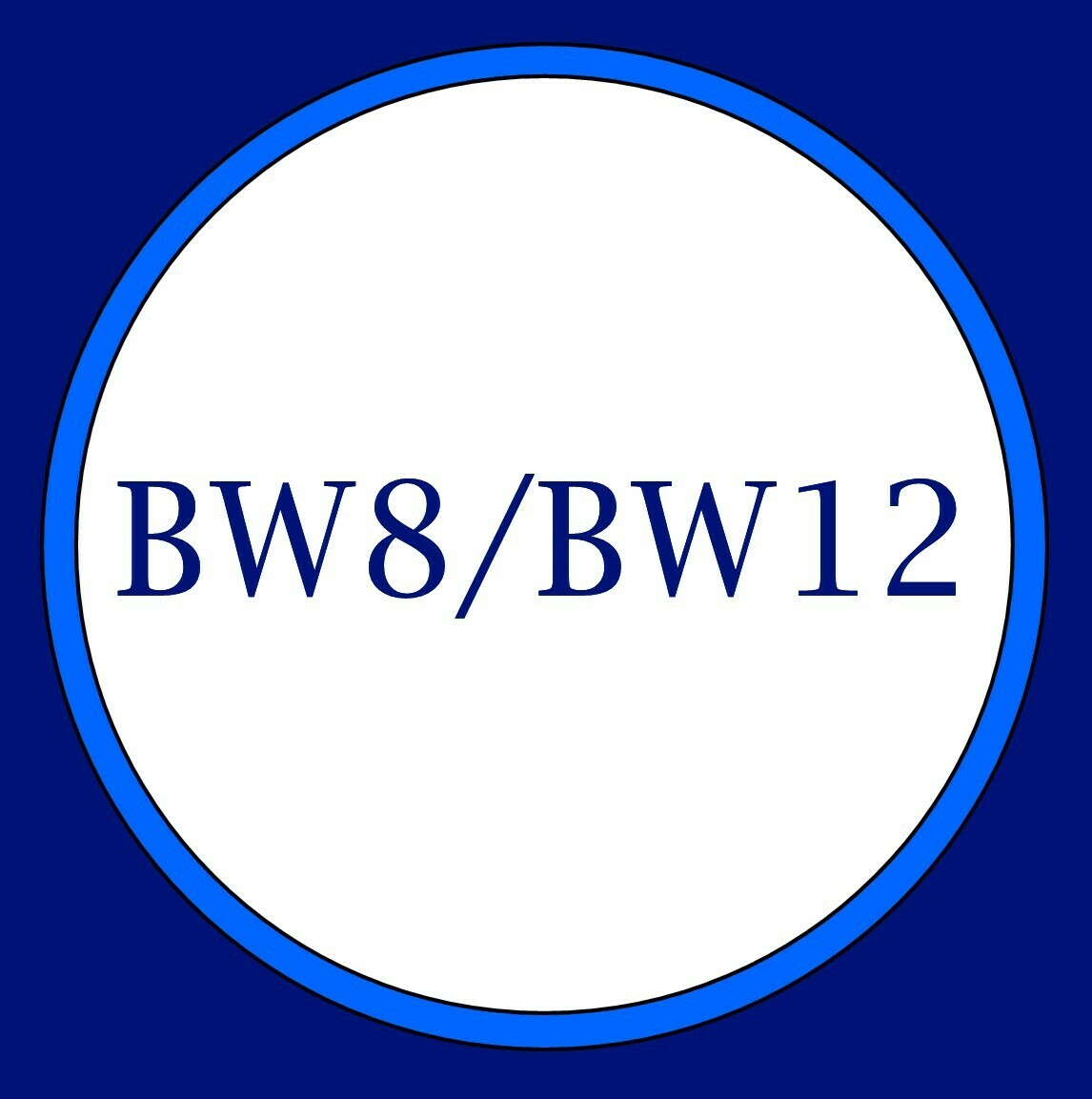 Borg Warner 8 / 12