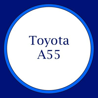 A55