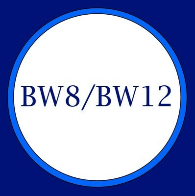 Borg Warner 8 &amp; 12