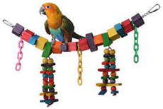 Bird Toys