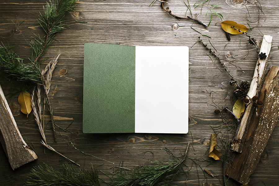 Voodoo books. The forest версия 1. Игра на выживание the forest. Forest note. Forest note.