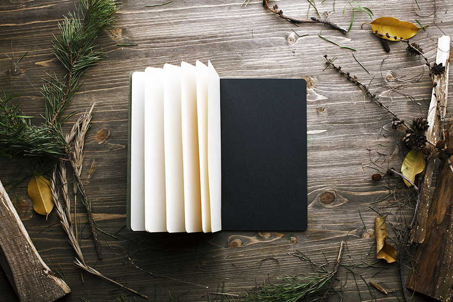 Voodoo books marble 03 а5. Обложки 260. The forest vr. 12. Зе форест 4.