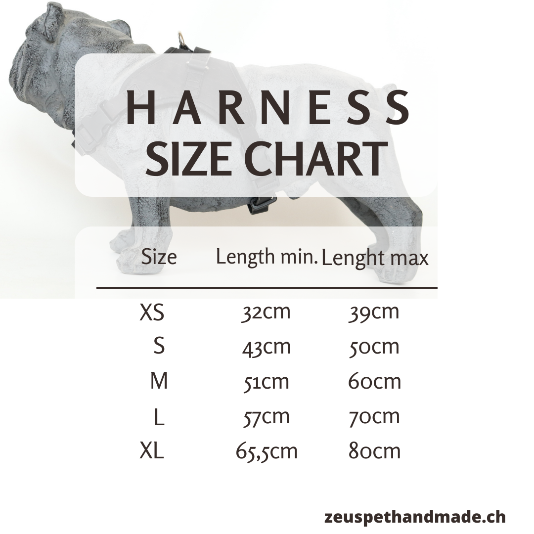 CORK LEATHER HARNESS - New Generation