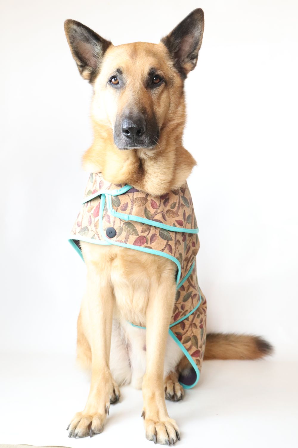 Dog Cork Coat