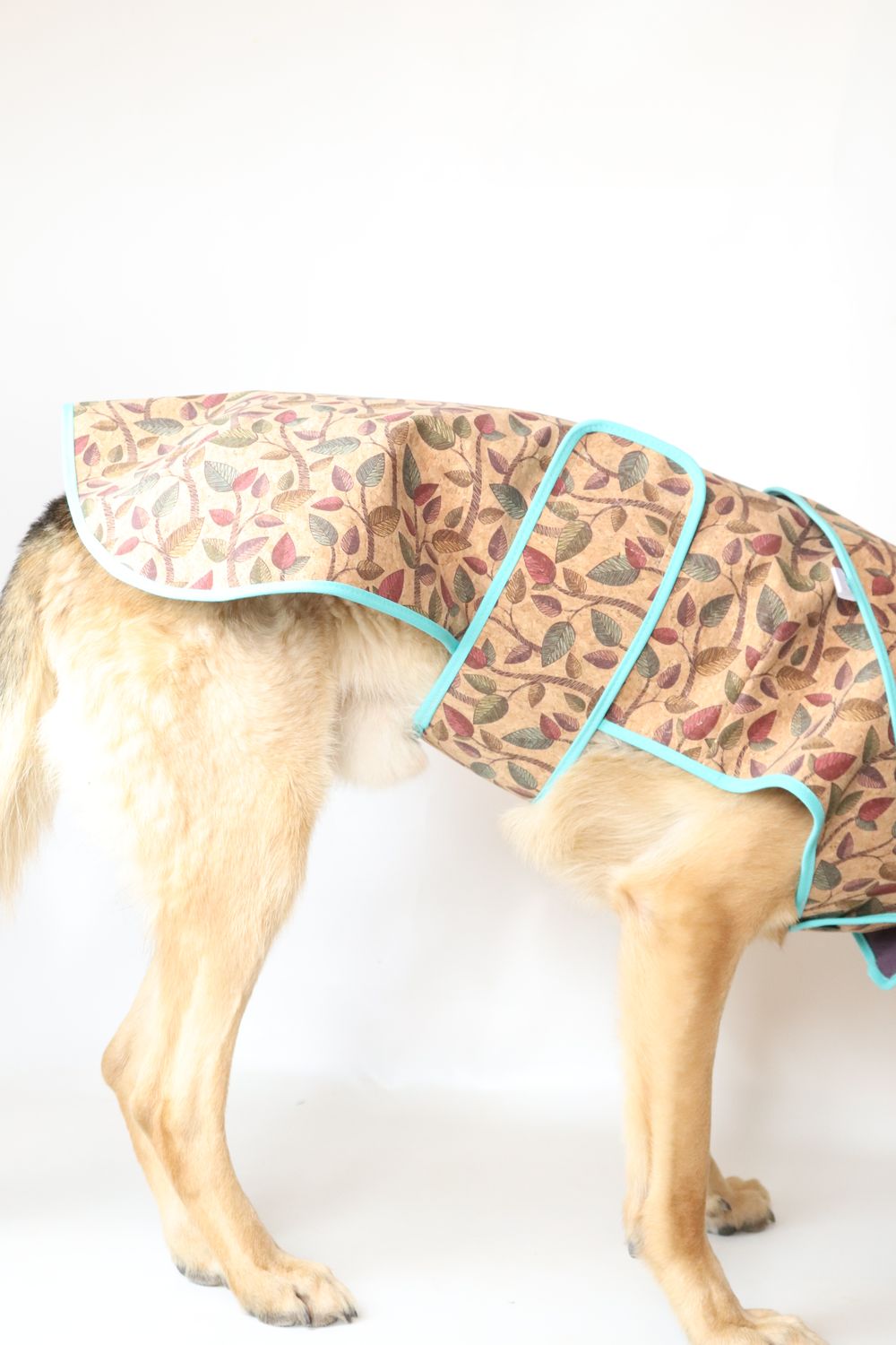Dog Cork Coat