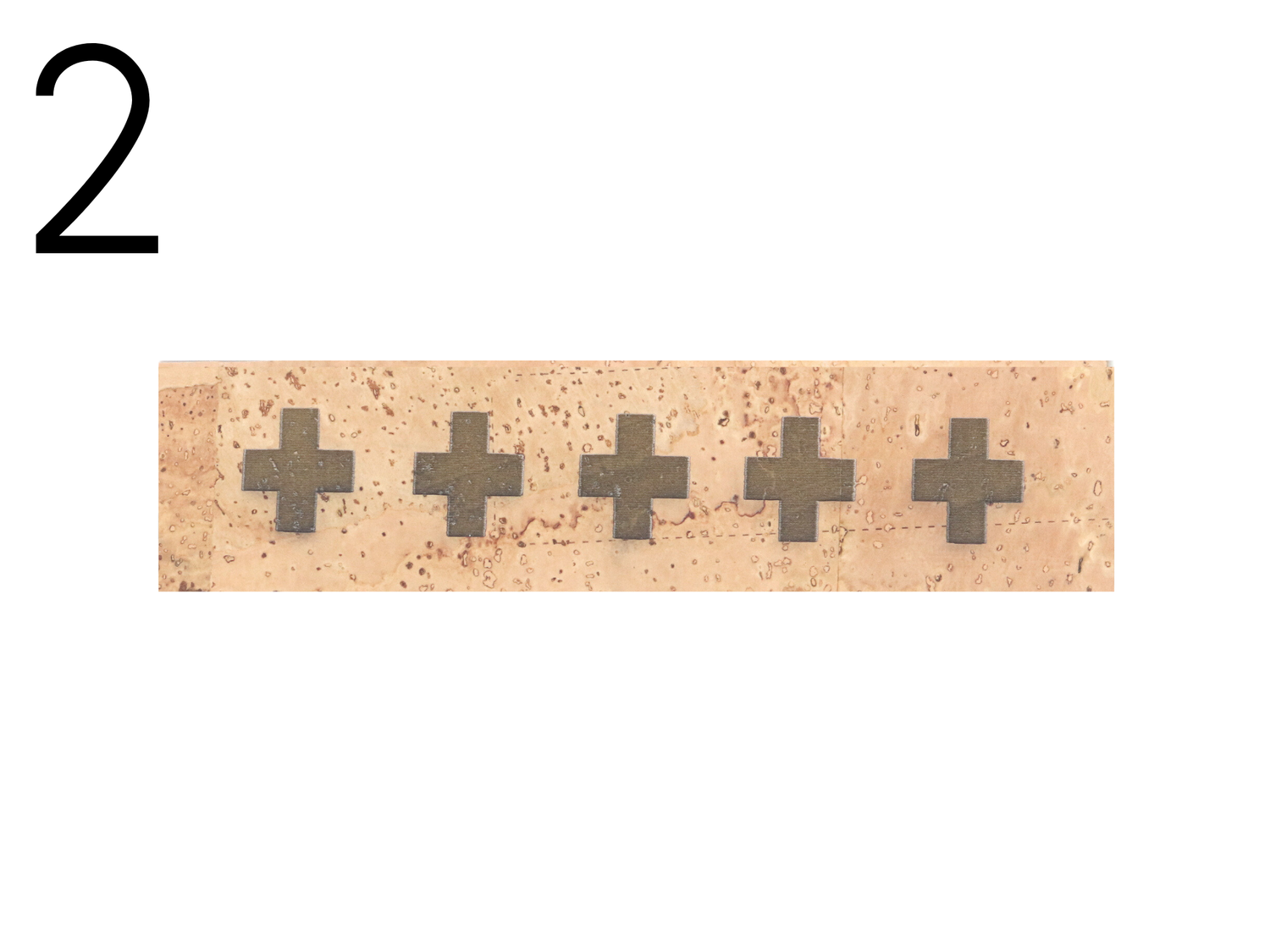 Engraved Cork collar NATURE ZPH