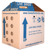 Single Shipping Boxes