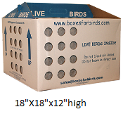 Single 4-Bird Shipping Box