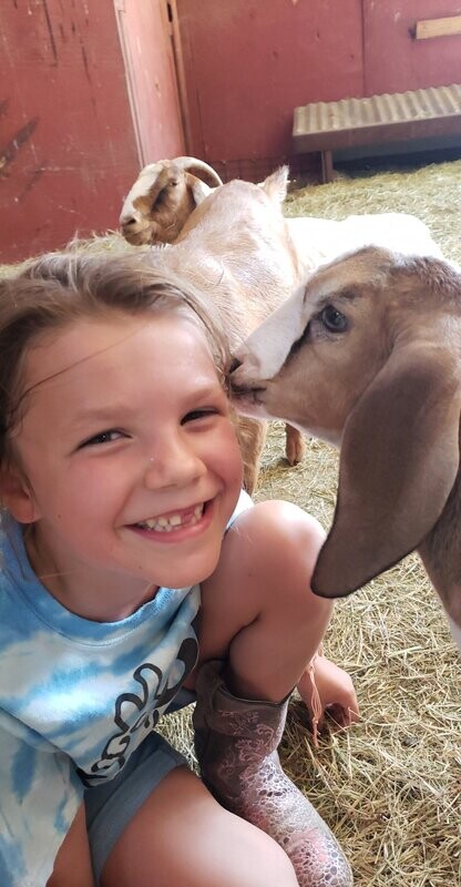 Farm Friend (Family) $500-$999