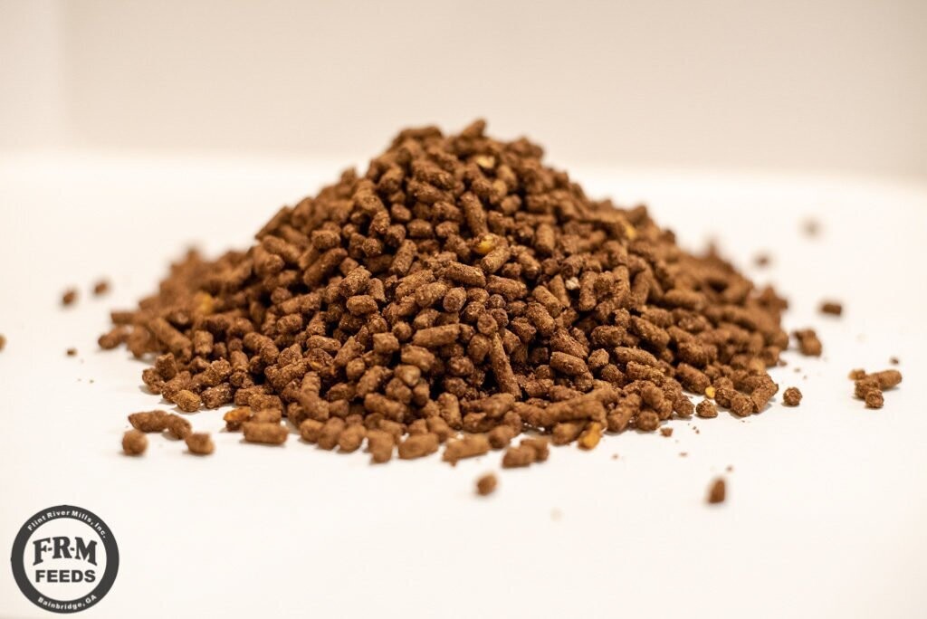 Animal Feed
