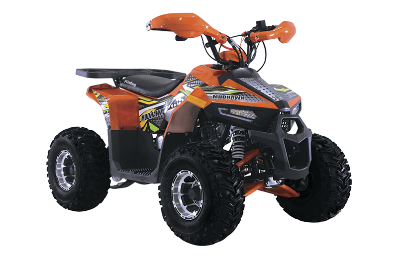 Atv Mud Hawk 110
